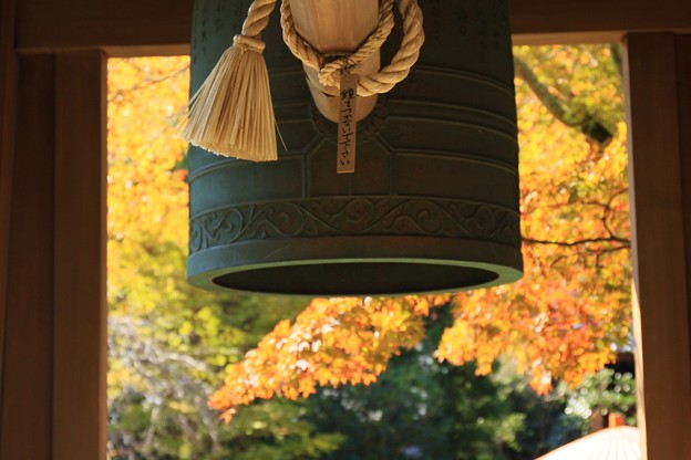 海蔵寺の紅葉