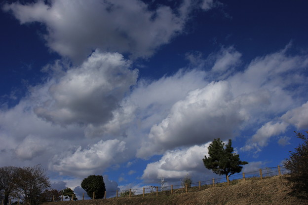 13IMG_4392