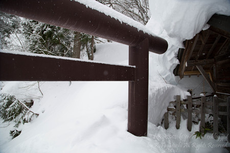 鳥居が低い