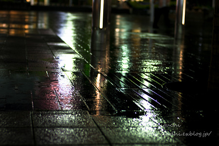 雨の公園 NEX-5 FD50 F1.4