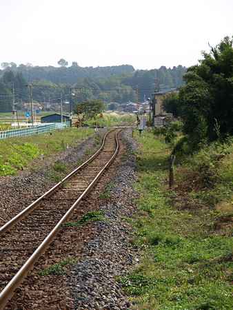 仁井田駅14