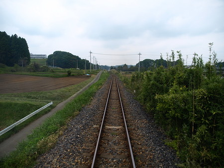 烏山線の車窓(大金→小塙)2