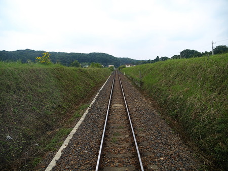 烏山線の車窓(大金→小塙)6