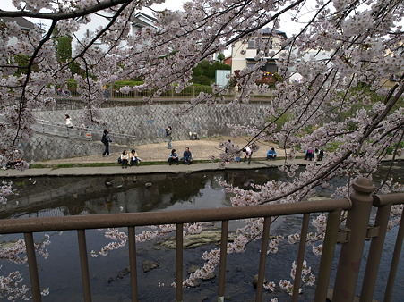 恩田川18