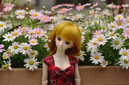 IMGP9142
