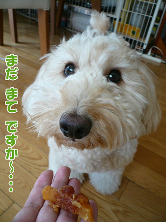 100914 くーかい of the day 2