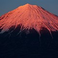 1月11日富士宮からの夕方富士山～ 今日は赤いっ！