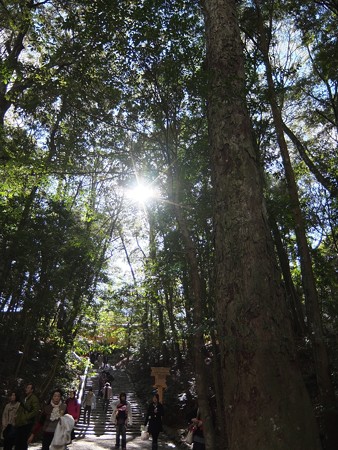 伊勢神宮内宮15