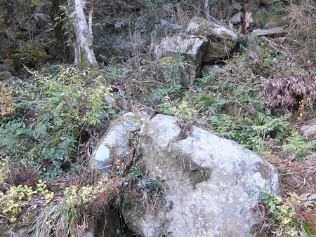 飛瀧神社17 2011災害の爪痕5