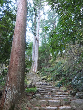鎌倉積み石段2