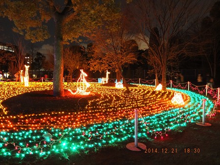 長居植物園ガーデンイルミネーション08