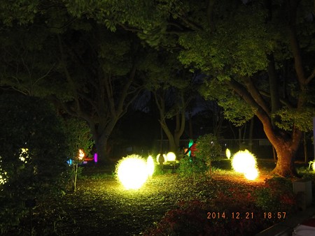 長居植物園ガーデンイルミネーション24