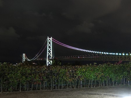 明石海峡大橋05