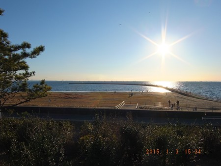 幕張の浜~20150103-01 ヒコーキ
