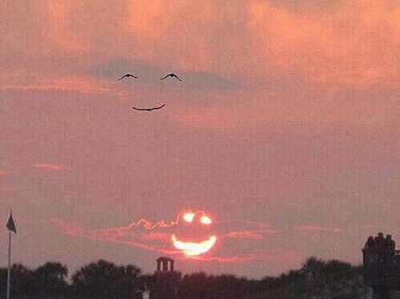 __