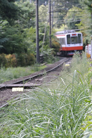箱根登山鉄道／小涌谷ー彫刻の森
