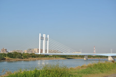 多摩川是政橋