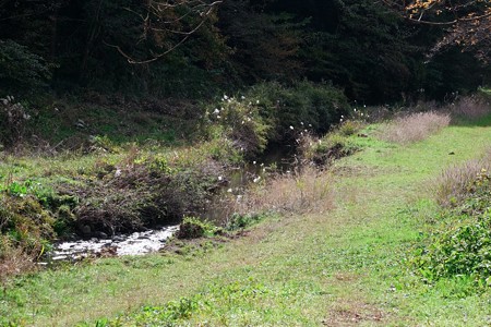 2017.11.26　和泉川　川道