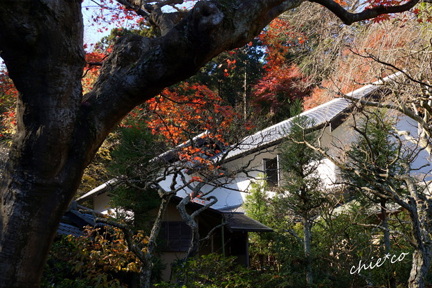 東慶寺-310