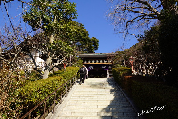DSC06739-001