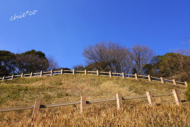 金沢自然公園-251