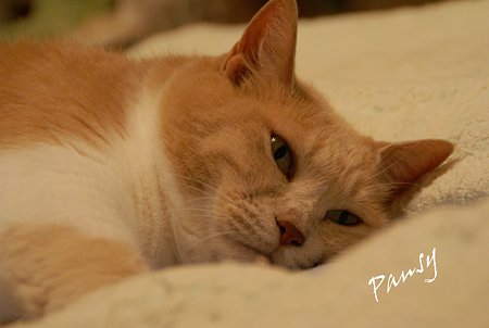 Lily..