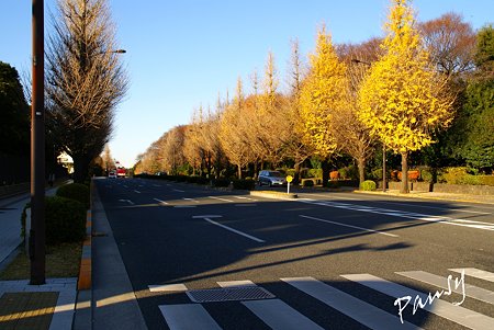 横断歩道から眺めた青空・・