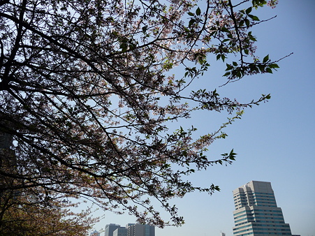 P1030354
