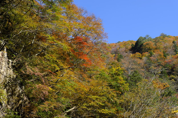 山は秋色に染まり