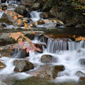 渓流の流れ 秋
