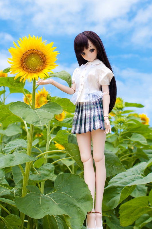 クリックで拡大します