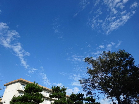 171027秋らしい空