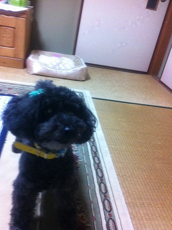 写真2