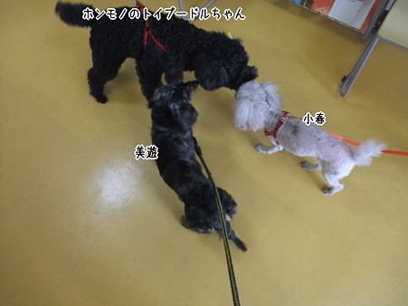 病院にて