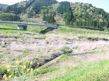 見渡す限り、山・・・山・・・