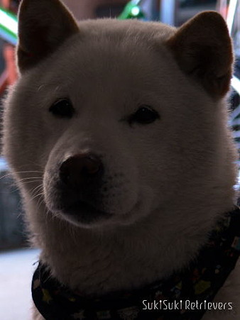 20100408_1064626