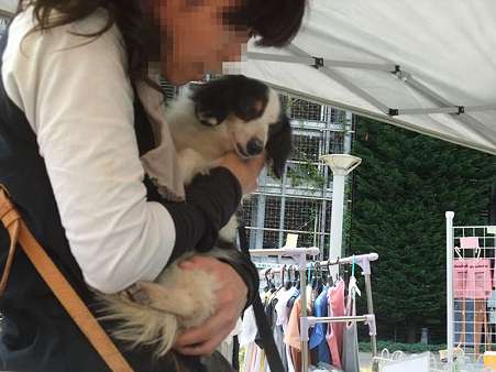 キット、抱かれてウットリ♪