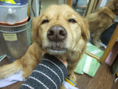 sunで~す♪