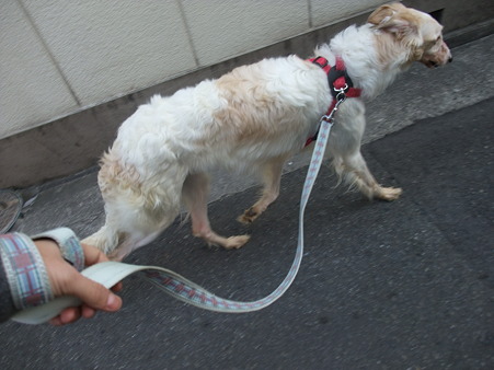 ちょっと挙動不審・・・