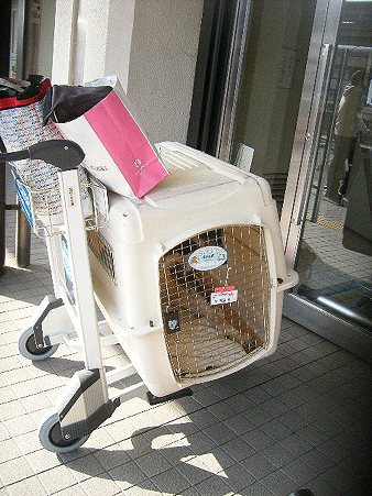 Re:Start初の空輸