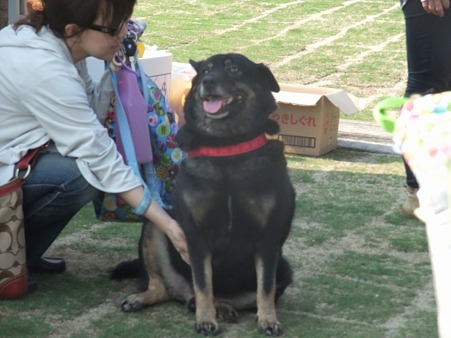 幸せなときが長く続きますように