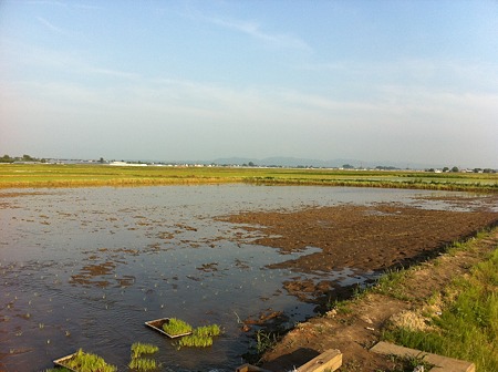 6月2日