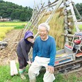 Photos: 稲刈り（３）H29,9,16