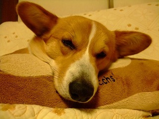 2010_03270007