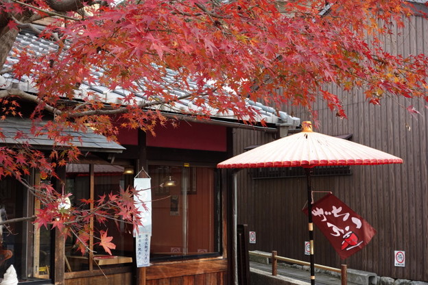 紅葉彩るお店!2014