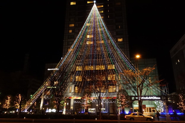 巨大なクリスマスツリー、京都2014!