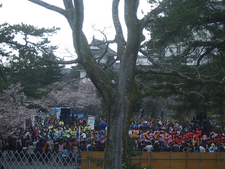 DSCF4786