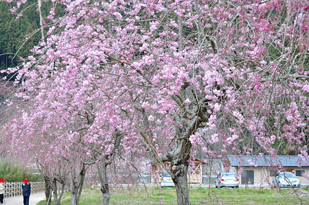 DSC_0022修正