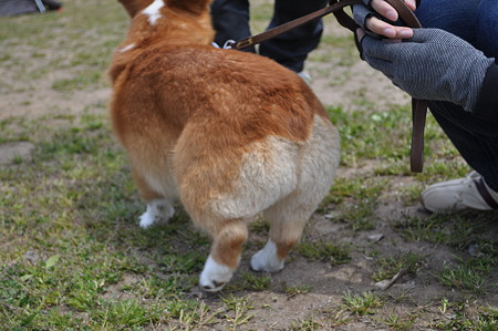 DSC_0120