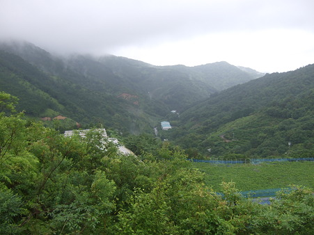 DSCF5466